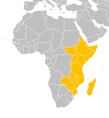 Eastern Africa (UN Statistics Division subregion)